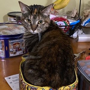 Meet your Posher, Caren